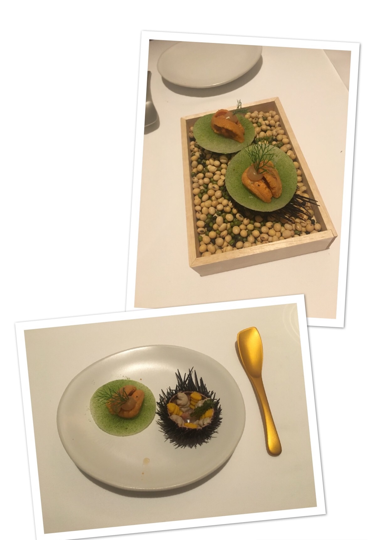 restaurante gaggan 6